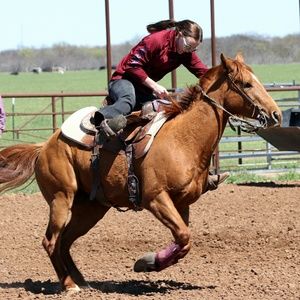Meet your Posher, Carrie